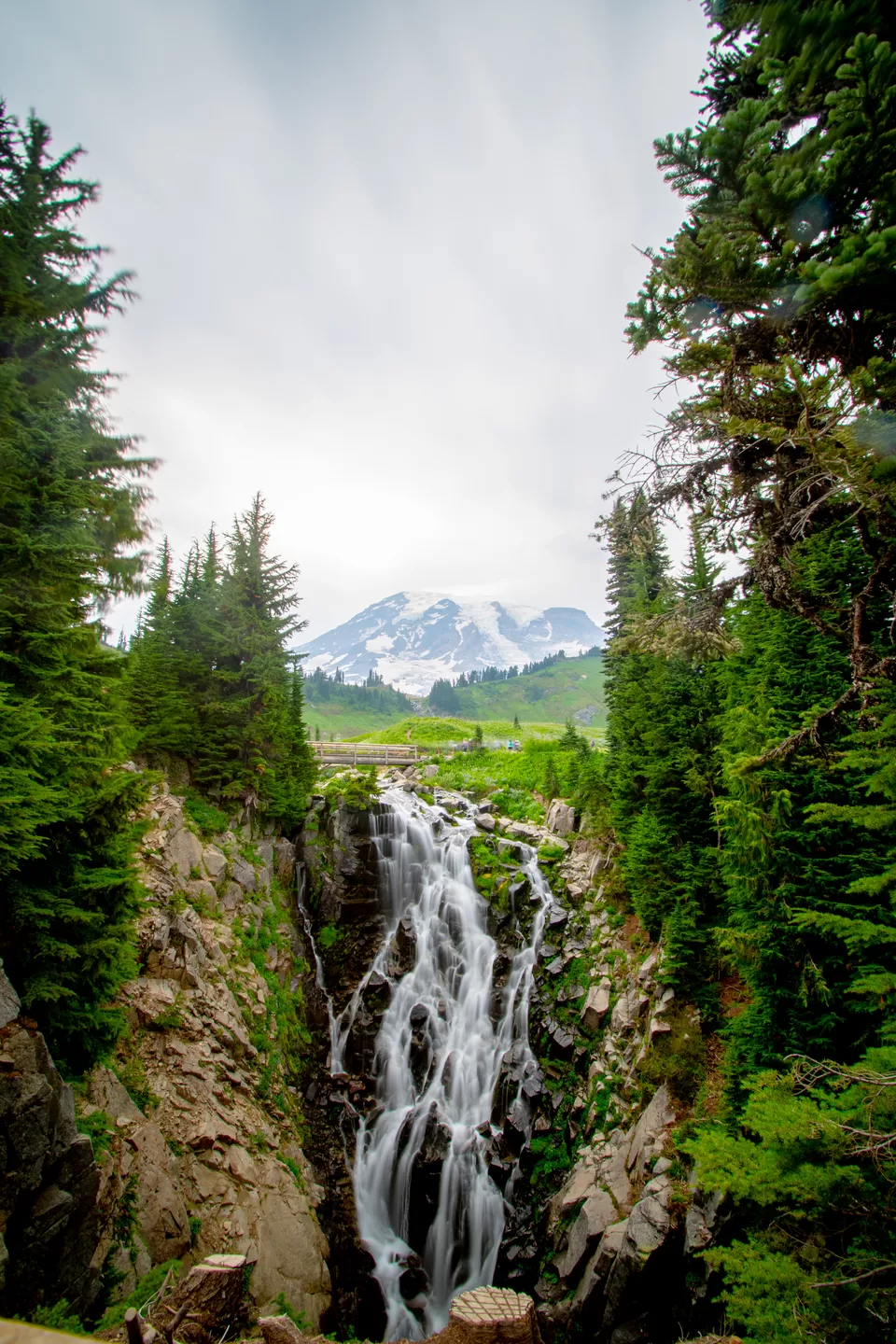 Photo of A day-trip to the Mount Rainier National Park by Abhik Manna