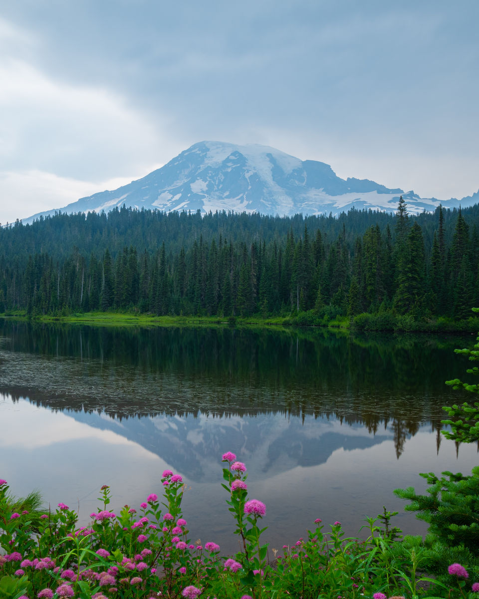 Photo of A day-trip to the Mount Rainier National Park by Abhik Manna