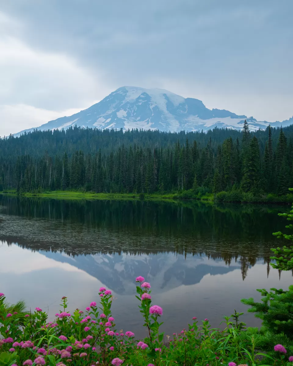 Photo of A day-trip to the Mount Rainier National Park by Abhik Manna