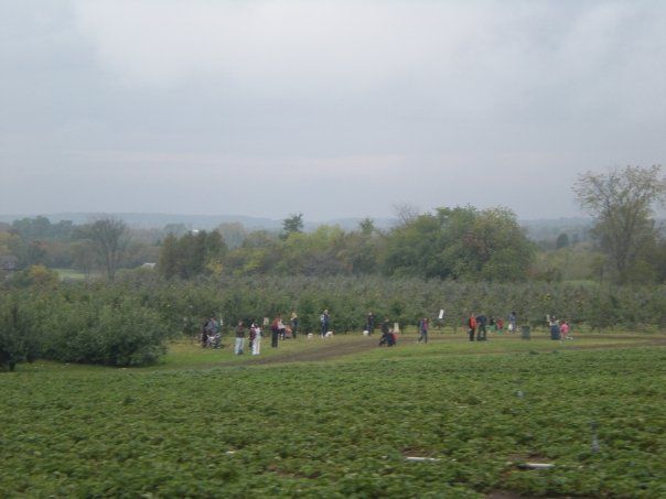 Photo of Apple & Wine...Anyone ??? #FreedomTrip 1/4 by Rachna Lakhpati