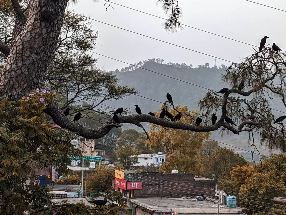 Photo of Swarghat by Nandini Narang