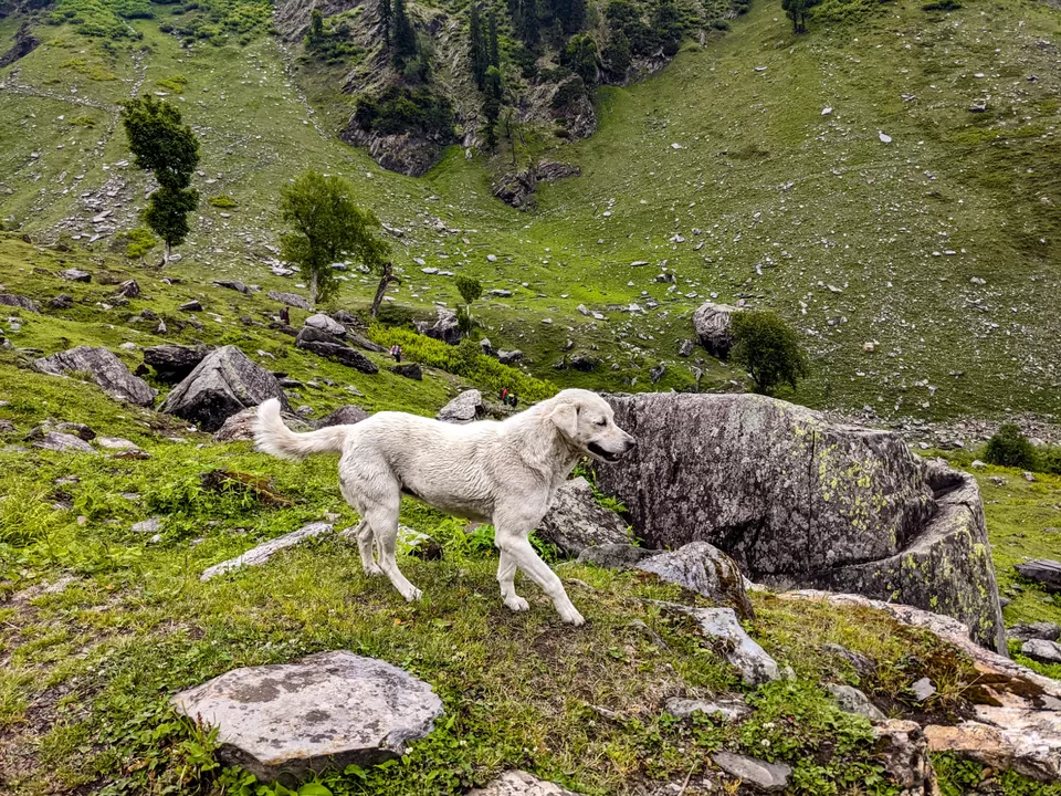 Photo of Beas Kund Trek by Nandini Narang