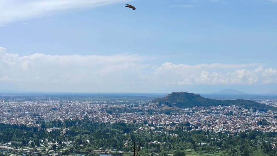 Photo of Srinagar by Gagan Khunteta