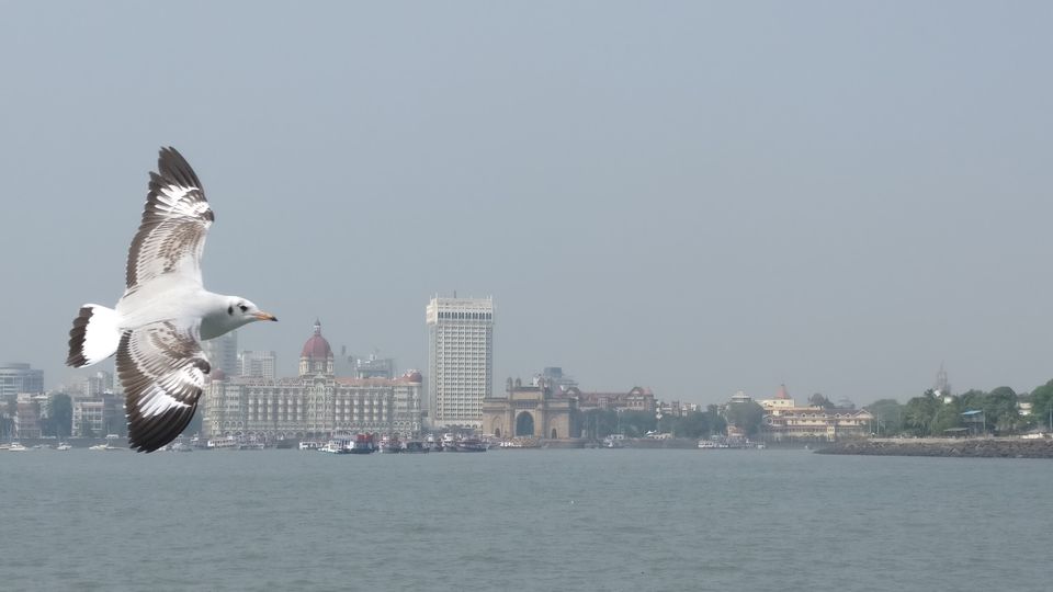 Photo of Colaba - Gateway, Causeway and more by Ajeetha Ramasamy