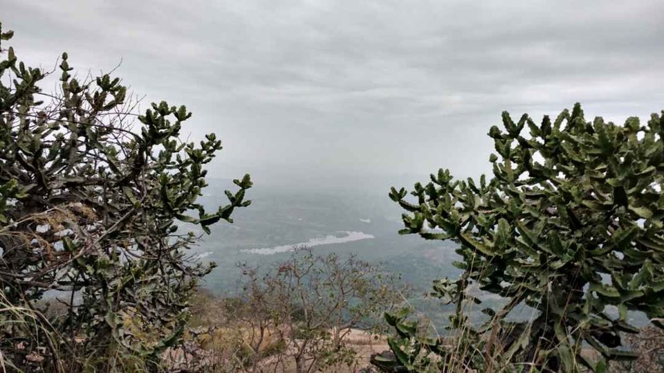 Photo of Dodda Alada Mara, Bengaluru, Karnataka, India by My adventure planet