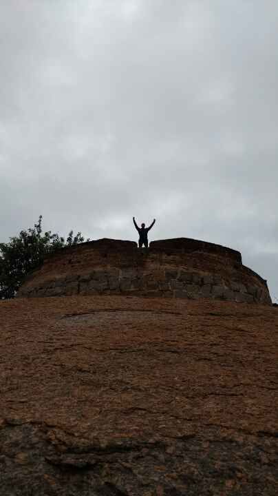 Photo of Dodda Alada Mara, Bengaluru, Karnataka, India by My adventure planet
