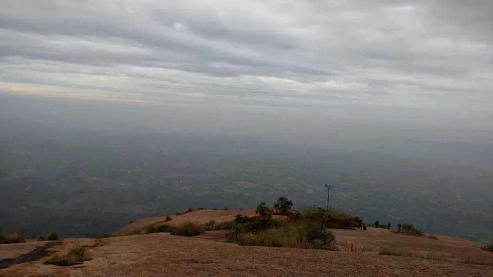 Photo of Dodda Alada Mara, Bengaluru, Karnataka, India by My adventure planet