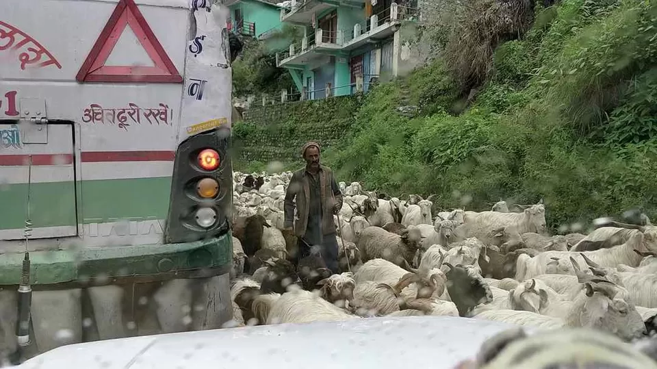 Photo of Kinnaur, Himachal Pradesh, India by My adventure planet