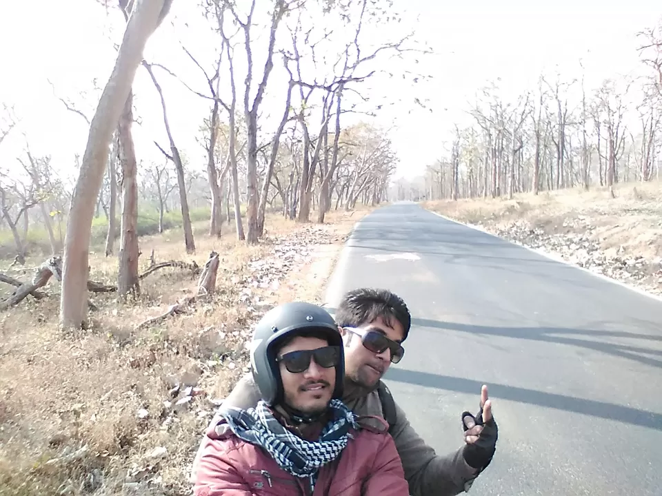 Photo of Bandipur National Park, Bandipur, Karnataka, India by My adventure planet