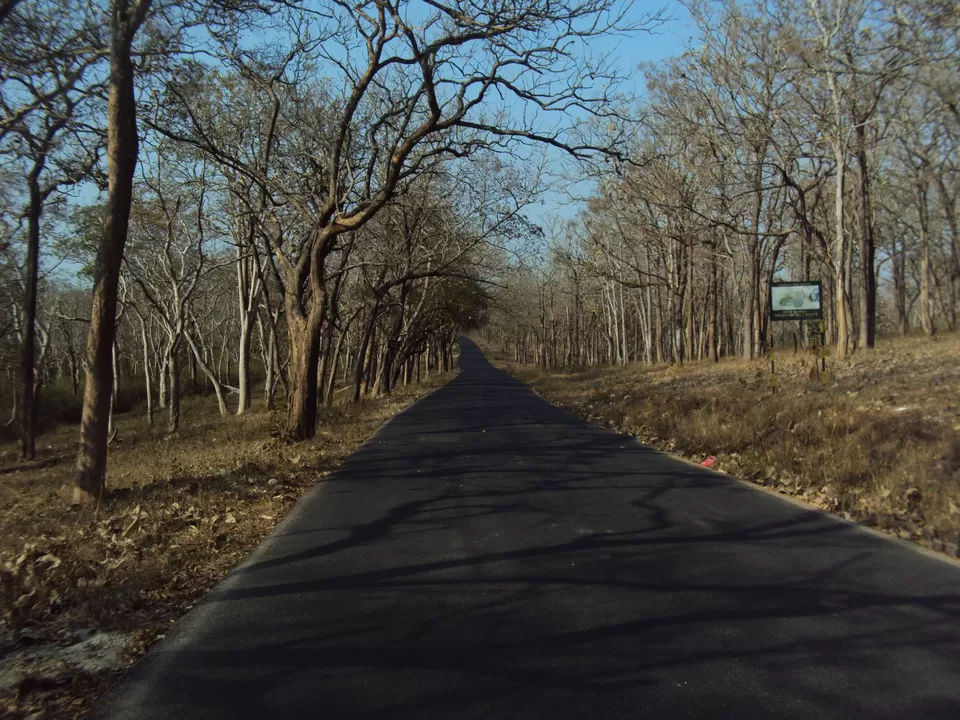 Photo of Bandipur National Park, Bandipur, Karnataka, India by My adventure planet