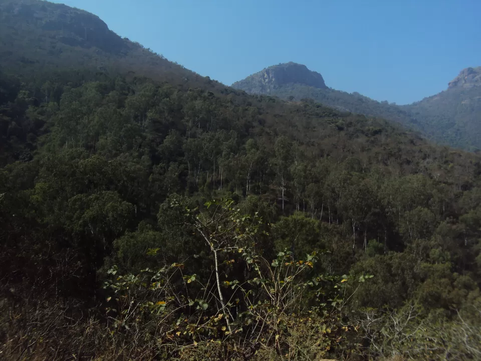 Photo of Masinagudi, Tamil Nadu, India by My adventure planet