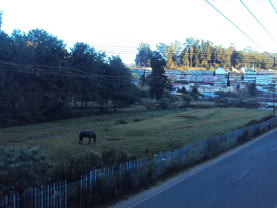 Photo of Ooty, Tamil Nadu, India by My adventure planet