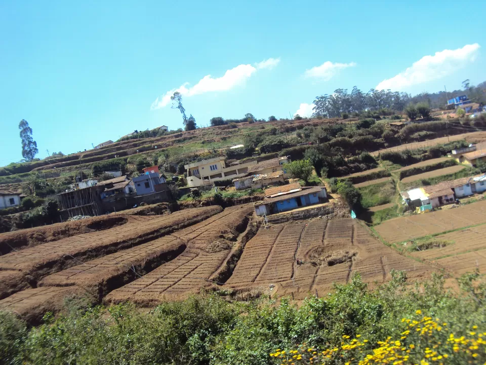 Photo of Ooty, Tamil Nadu, India by My adventure planet