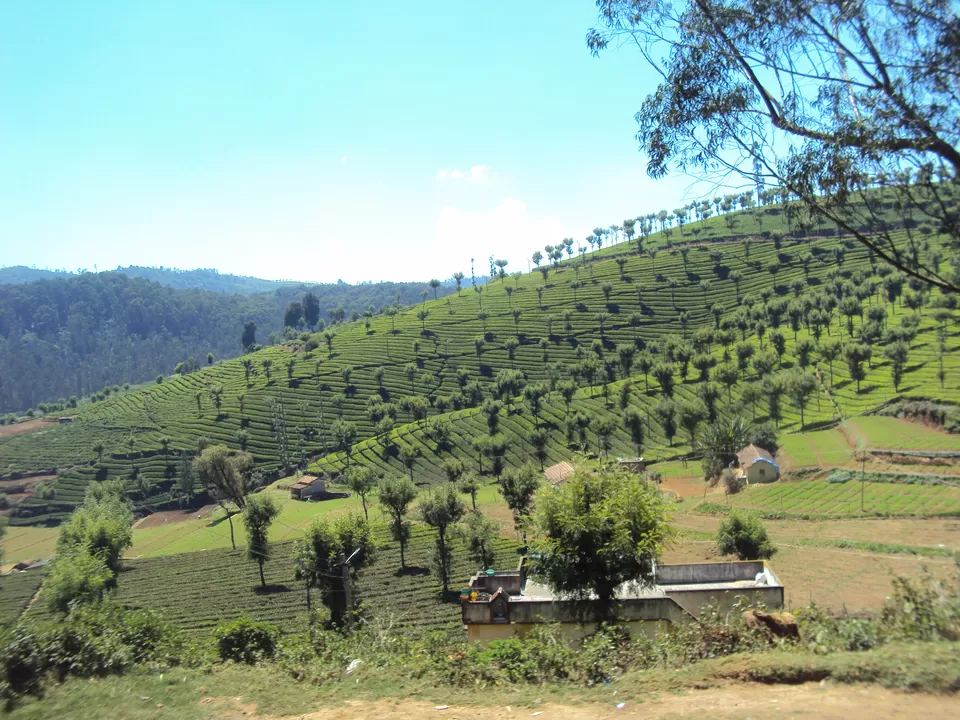 Photo of Ooty, Tamil Nadu, India by My adventure planet