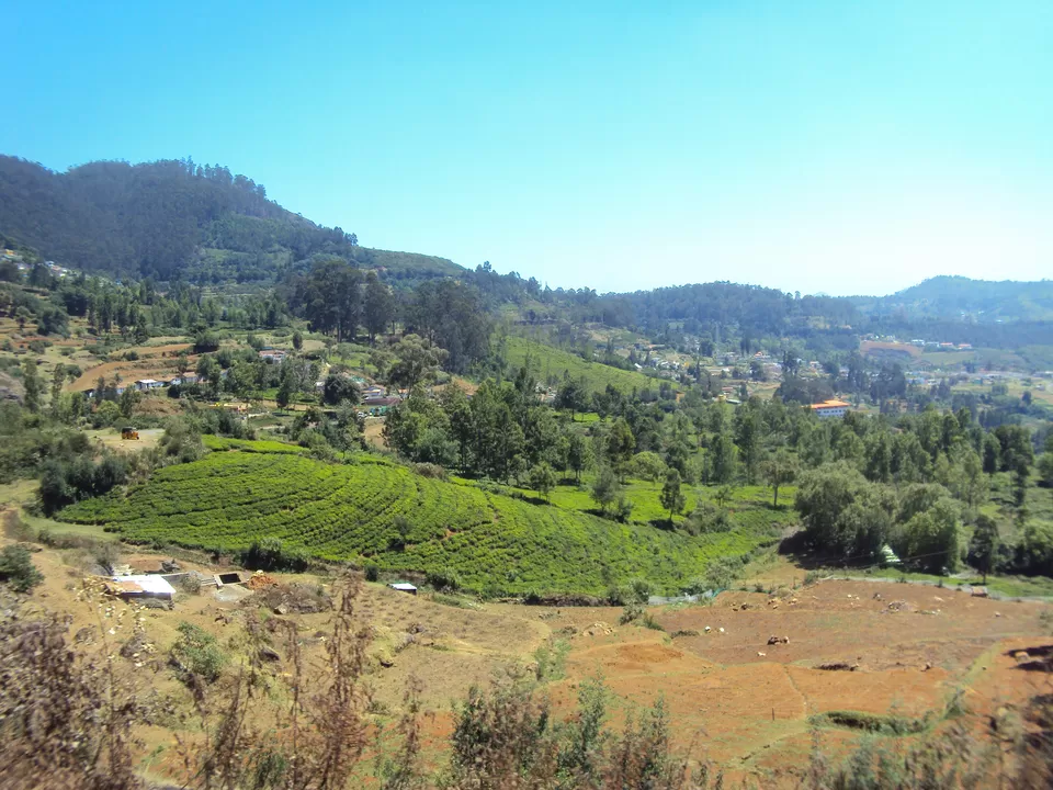 Photo of Ooty, Tamil Nadu, India by My adventure planet