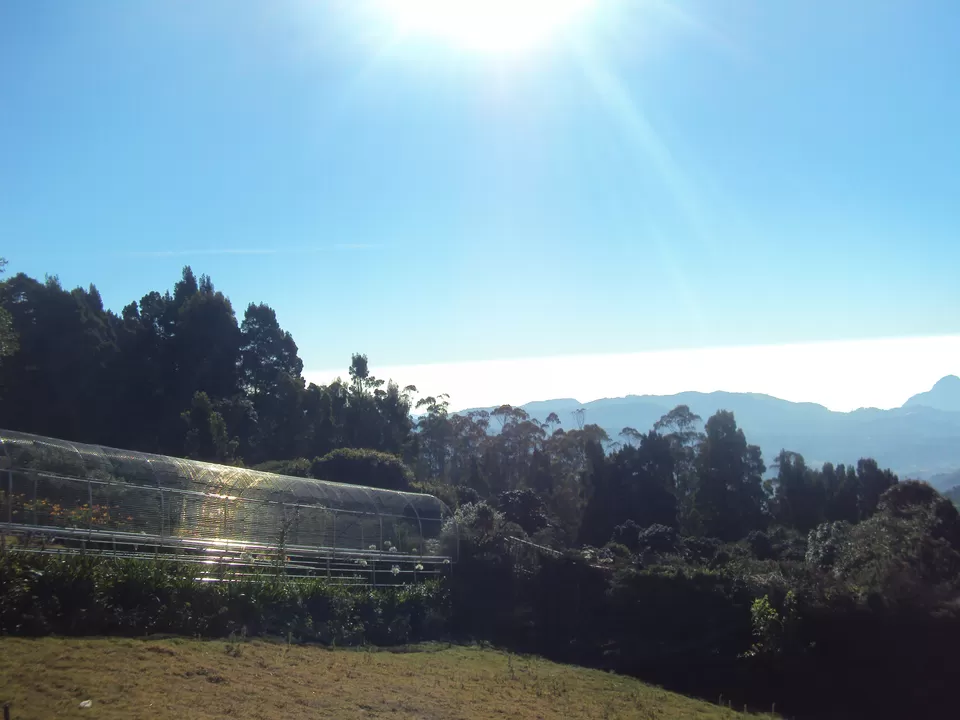 Photo of Doddabetta Peak, Nilgiris, Tamil Nadu, India by My adventure planet