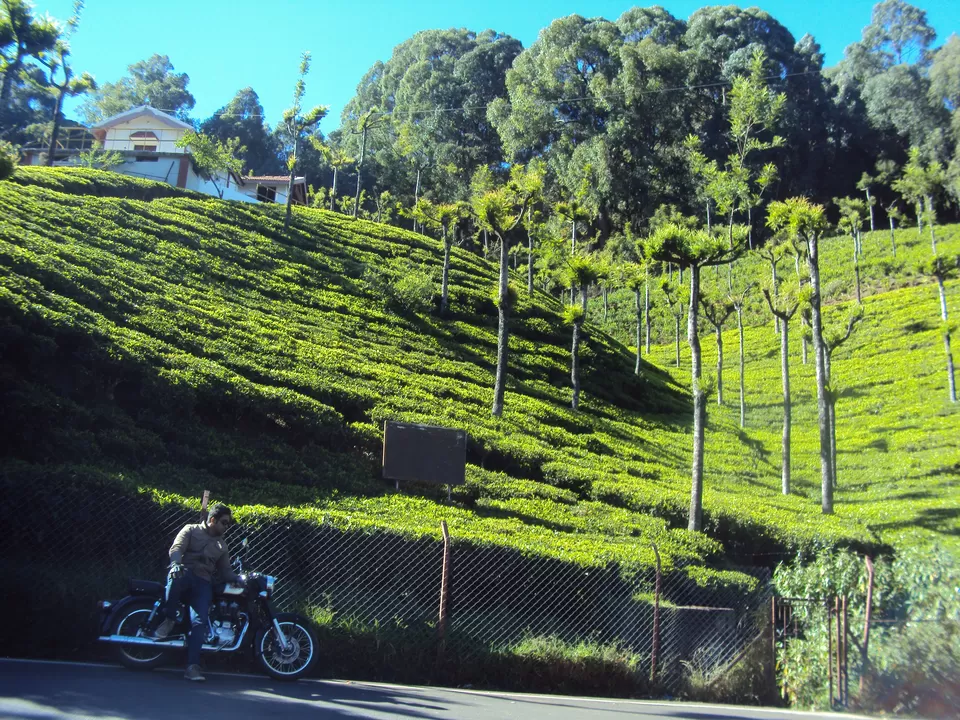 Photo of Elk Hill, Ooty, Tamil Nadu, India by My adventure planet