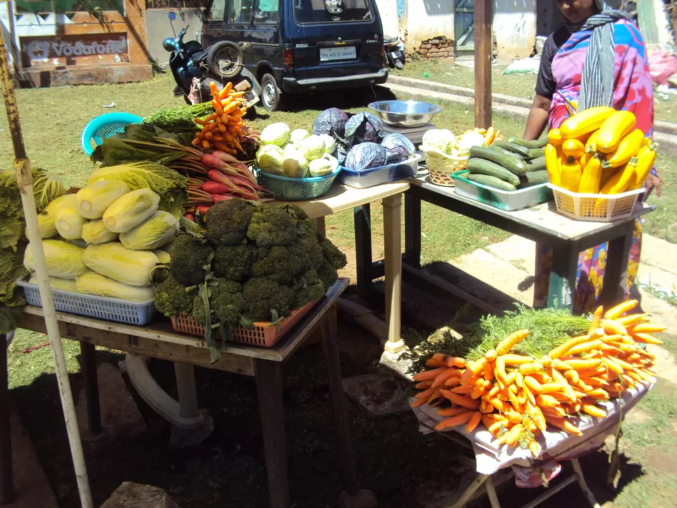 Photo of Ooty Main Bus Stand, Mani Vihar, Kathadimattam, Ooty, Tamil Nadu, India by My adventure planet