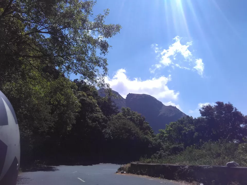 Photo of Mukurthi National Park, Nilgiris, Tamil Nadu, India by My adventure planet