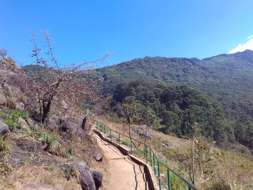 Photo of Needle Rock View Point, Nilgiris, Tamil Nadu, India by My adventure planet