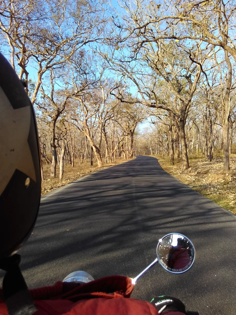 Photo of Bandipur, Karnataka, India by My adventure planet