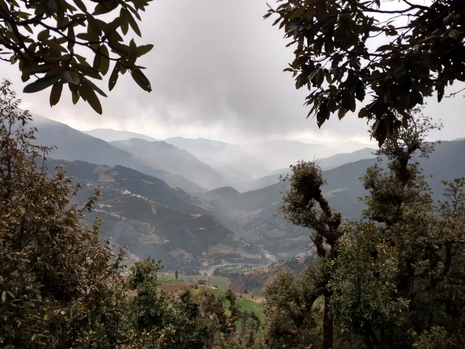 Photo of Lohajung - Wan Road, Vaan Madhye Kuling, Uttarakhand, India by My adventure planet