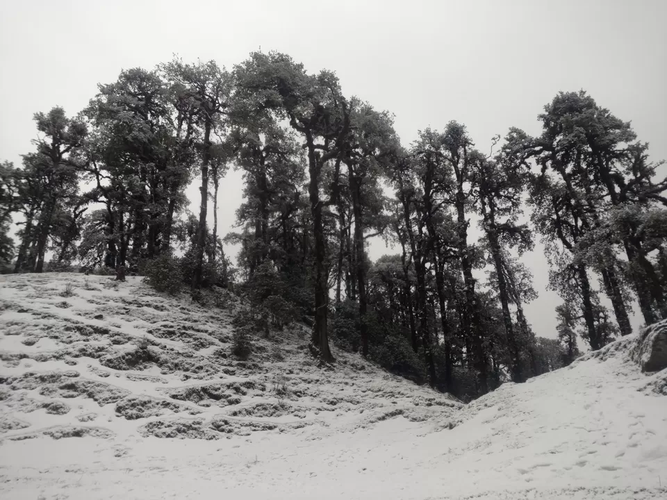 Photo of Bekaltal, Chamoli, Uttarakhand, India by My adventure planet