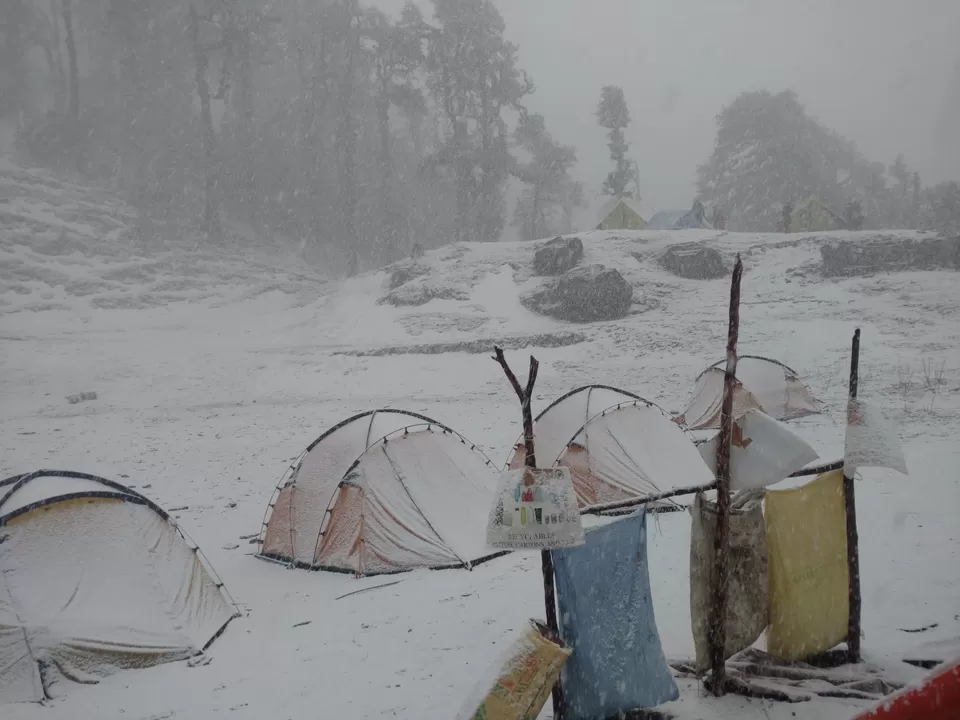 Photo of Bekaltal, Chamoli, Uttarakhand, India by My adventure planet