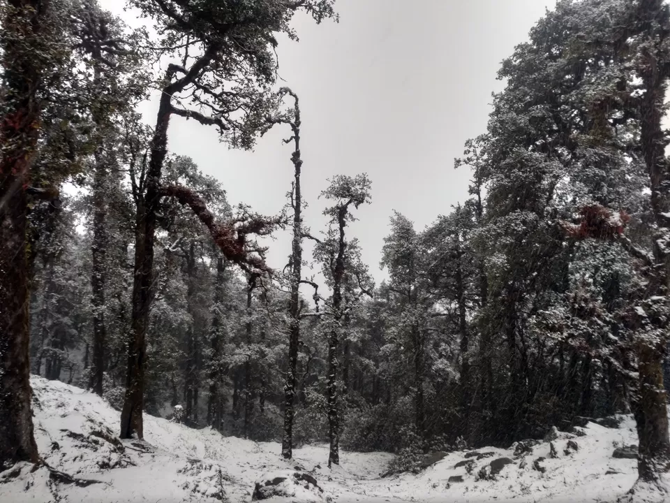 Photo of Bekaltal, Chamoli, Uttarakhand, India by My adventure planet