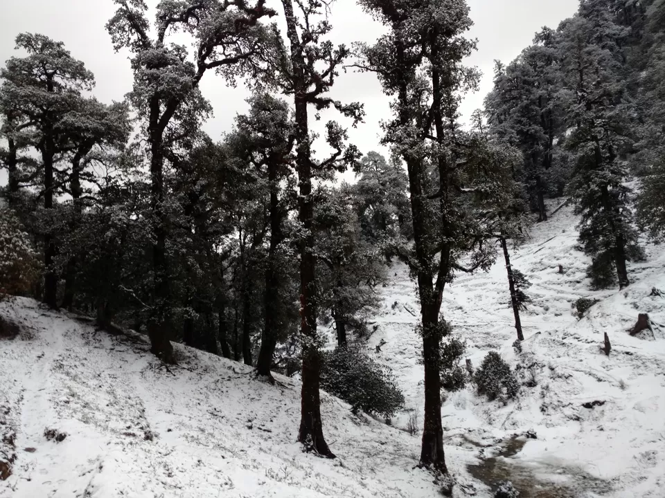 Photo of Bekaltal, Chamoli, Uttarakhand, India by My adventure planet
