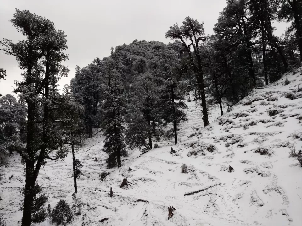 Photo of Bekaltal, Chamoli, Uttarakhand, India by My adventure planet