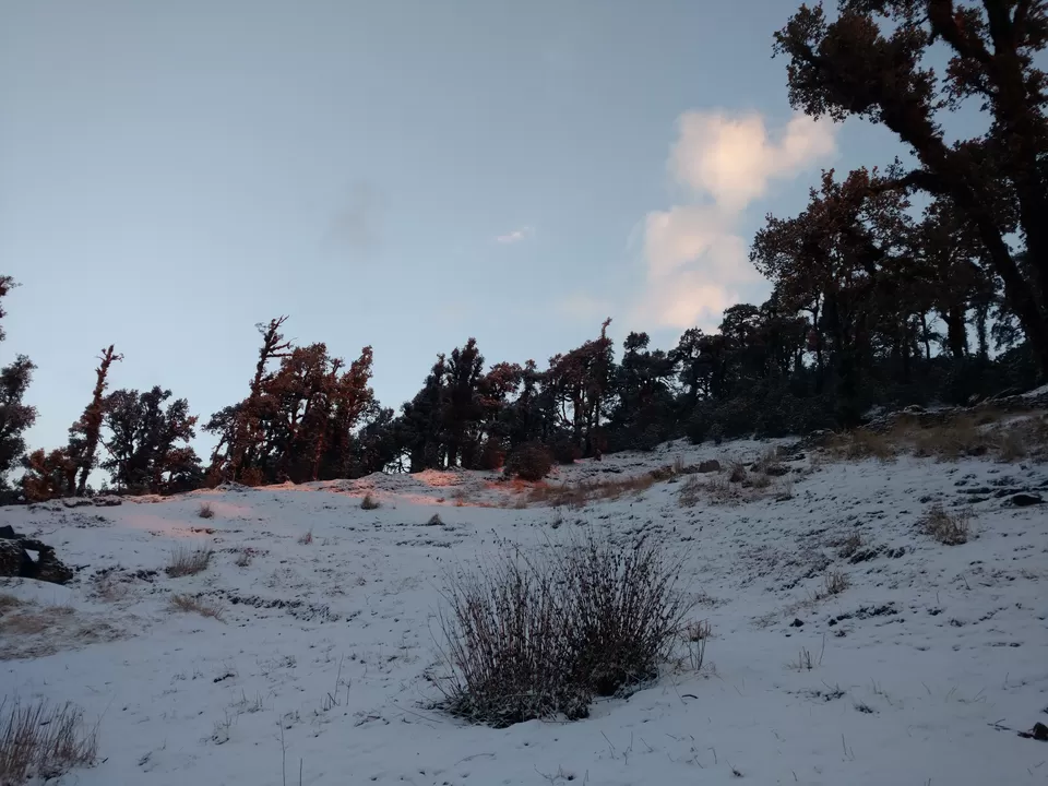 Photo of Bekaltal, Chamoli, Uttarakhand, India by My adventure planet