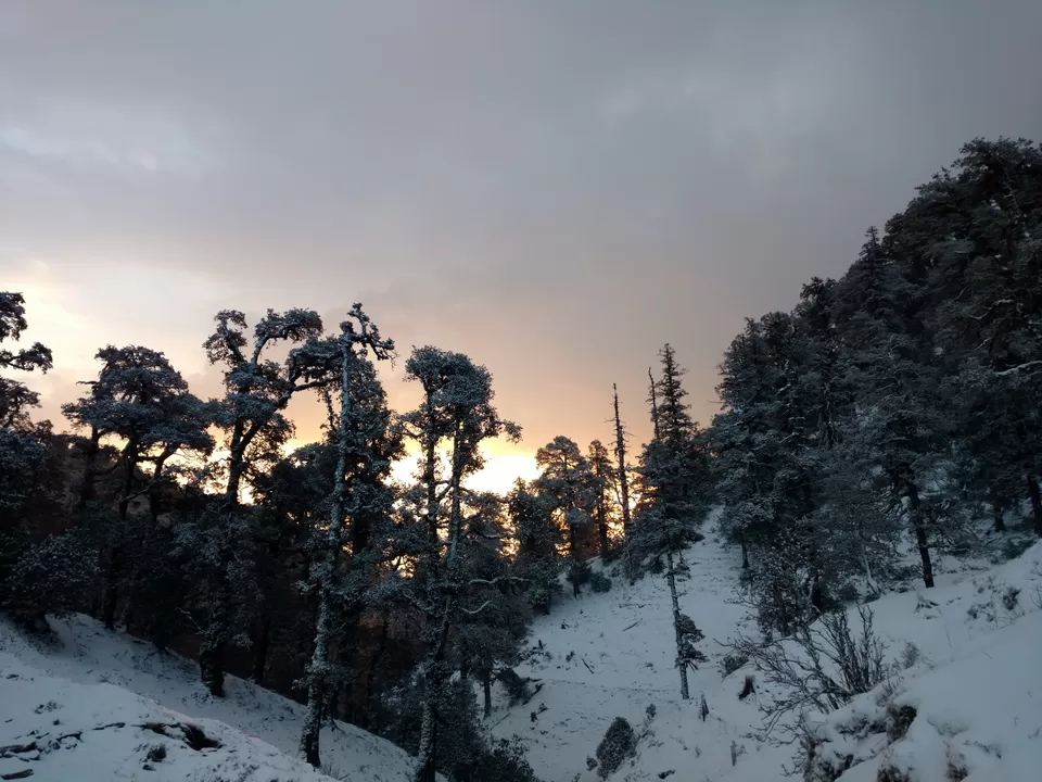 Photo of Bekaltal, Chamoli, Uttarakhand, India by My adventure planet