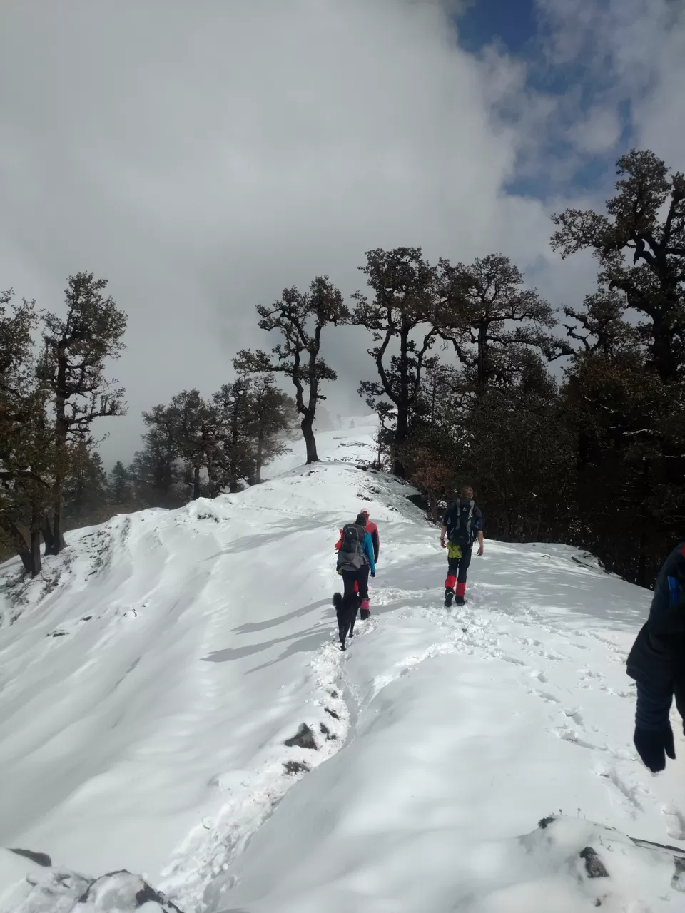 Photo of Nanda Devi, Chamoli, Uttarakhand, India by My adventure planet