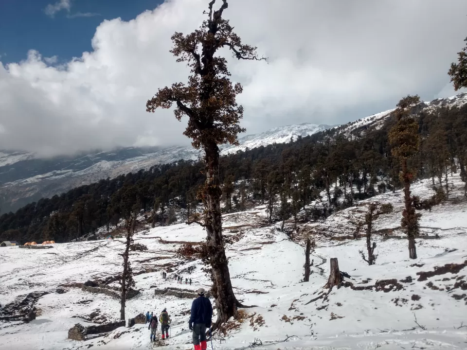 Photo of Nanda Devi, Chamoli, Uttarakhand, India by My adventure planet
