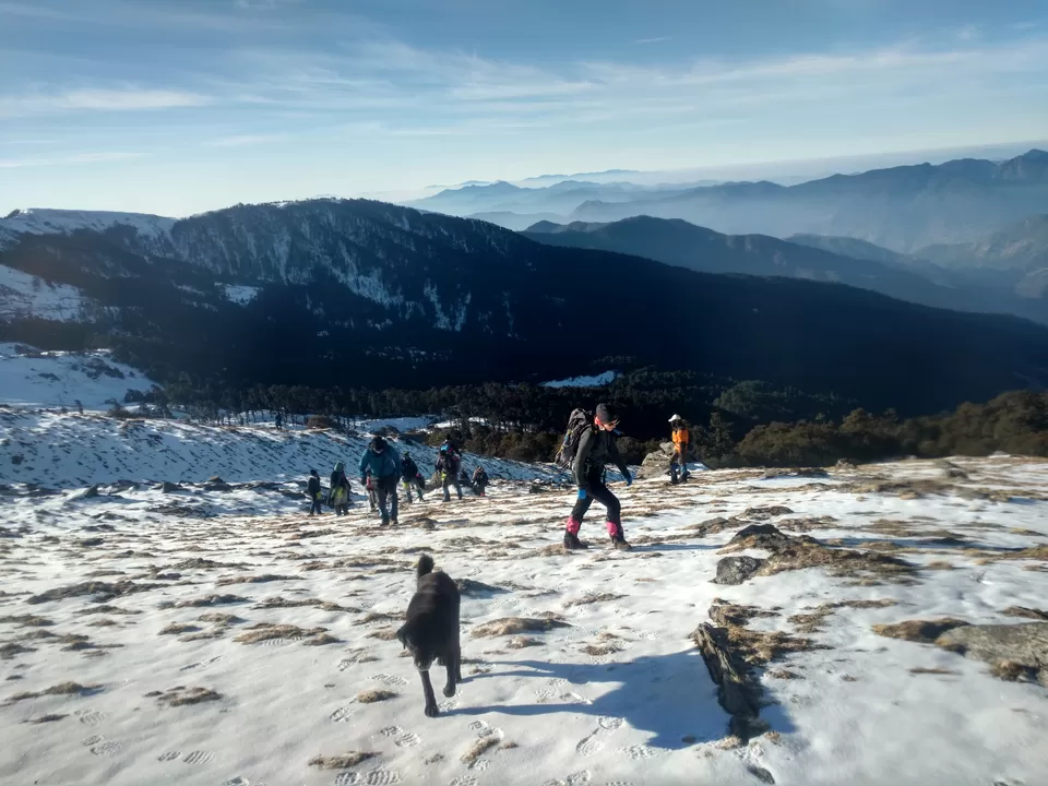 Photo of Nanda Devi National Park, Joshimath, Uttarakhand, India by My adventure planet