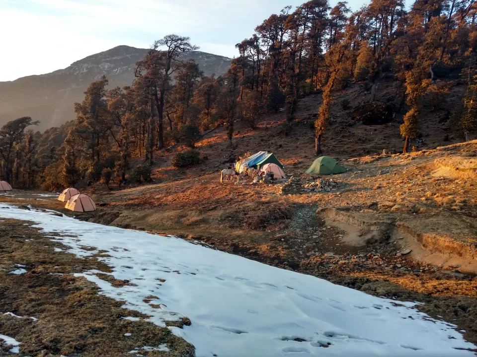 Photo of Nanda Devi National Park, Joshimath, Uttarakhand, India by My adventure planet