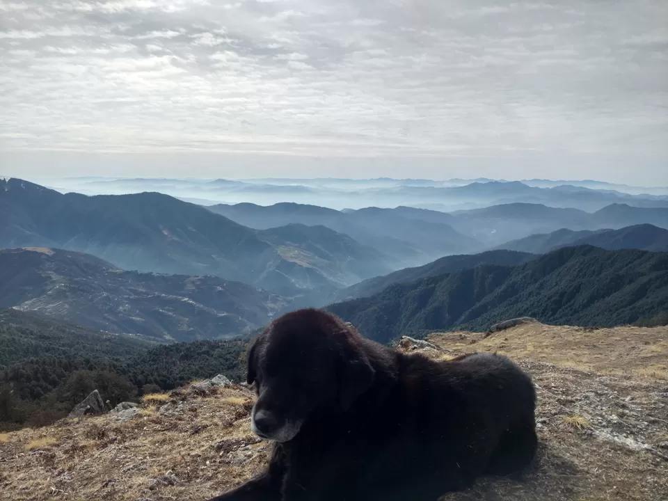 Photo of Nanda Devi National Park, Joshimath, Uttarakhand, India by My adventure planet