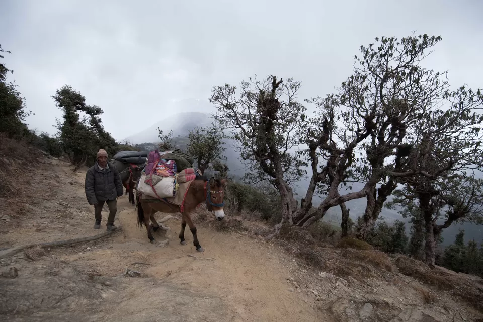 Photo of Lohajung, Kuling Road, Mundoli, Uttarakhand, India by My adventure planet