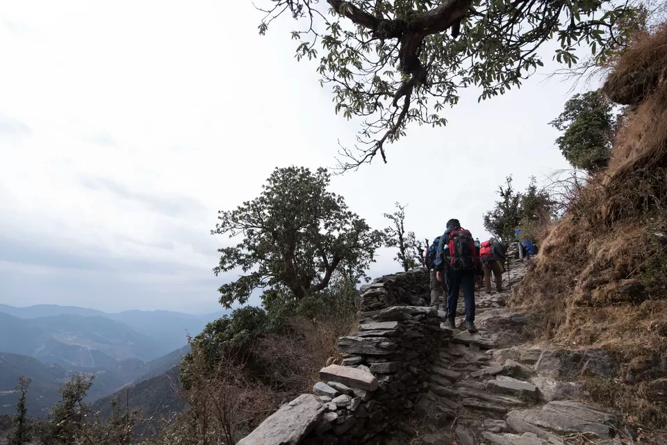Photo of Lohajung - Wan Road, Vaan Madhye Kuling, Uttarakhand, India by My adventure planet