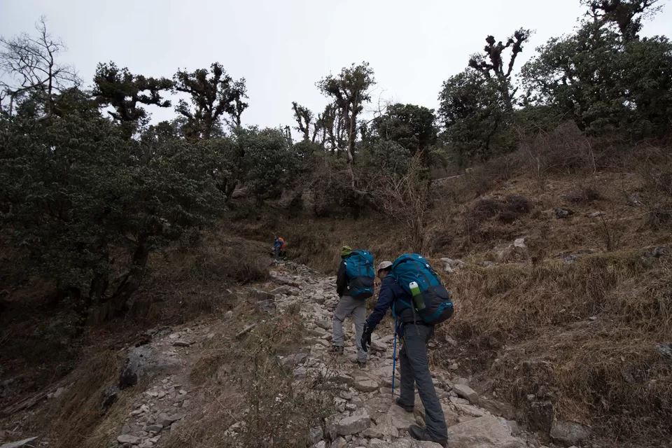 Photo of Lohajung - Wan Road, Vaan Madhye Kuling, Uttarakhand, India by My adventure planet