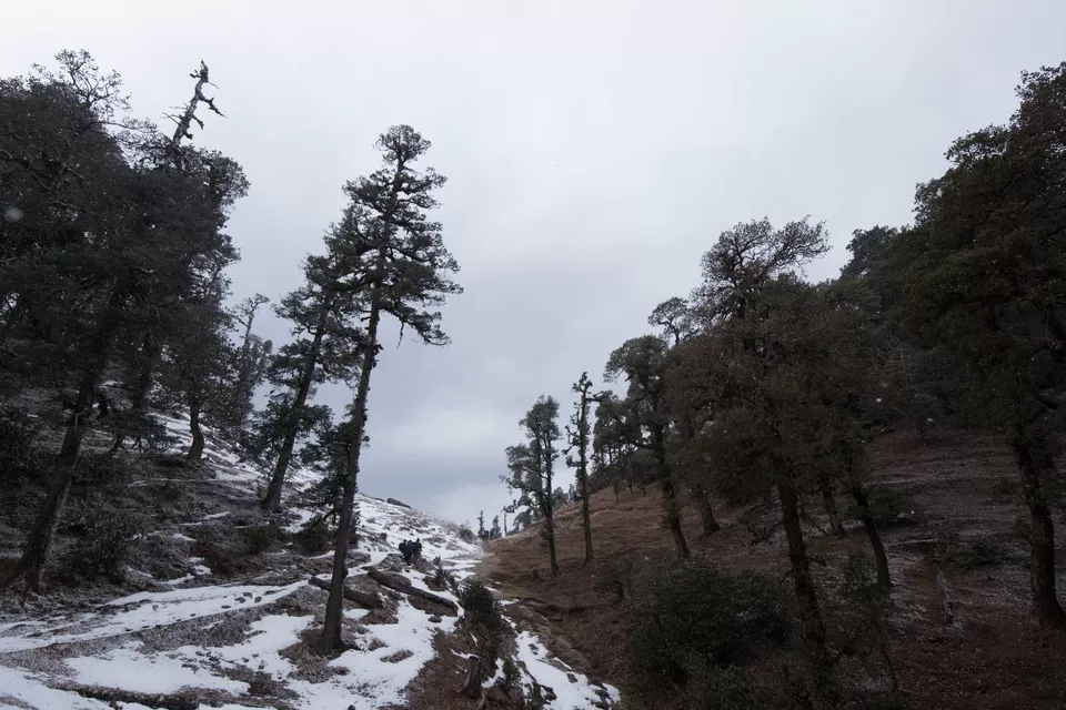Photo of Bekaltal, Chamoli, Uttarakhand, India by My adventure planet