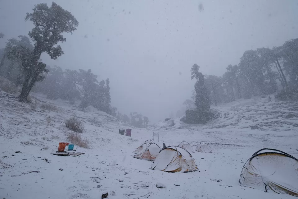 Photo of Bekaltal, Chamoli, Uttarakhand, India by My adventure planet
