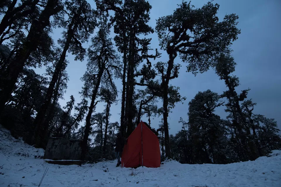 Photo of Bekaltal, Chamoli, Uttarakhand, India by My adventure planet