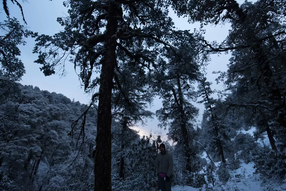 Photo of Bekaltal, Chamoli, Uttarakhand, India by My adventure planet