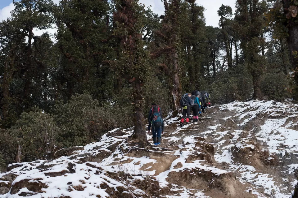 Photo of Bekaltal, Chamoli, Uttarakhand, India by My adventure planet