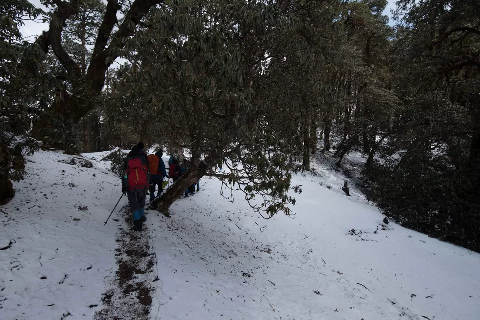 Photo of Bekaltal, Chamoli, Uttarakhand, India by My adventure planet