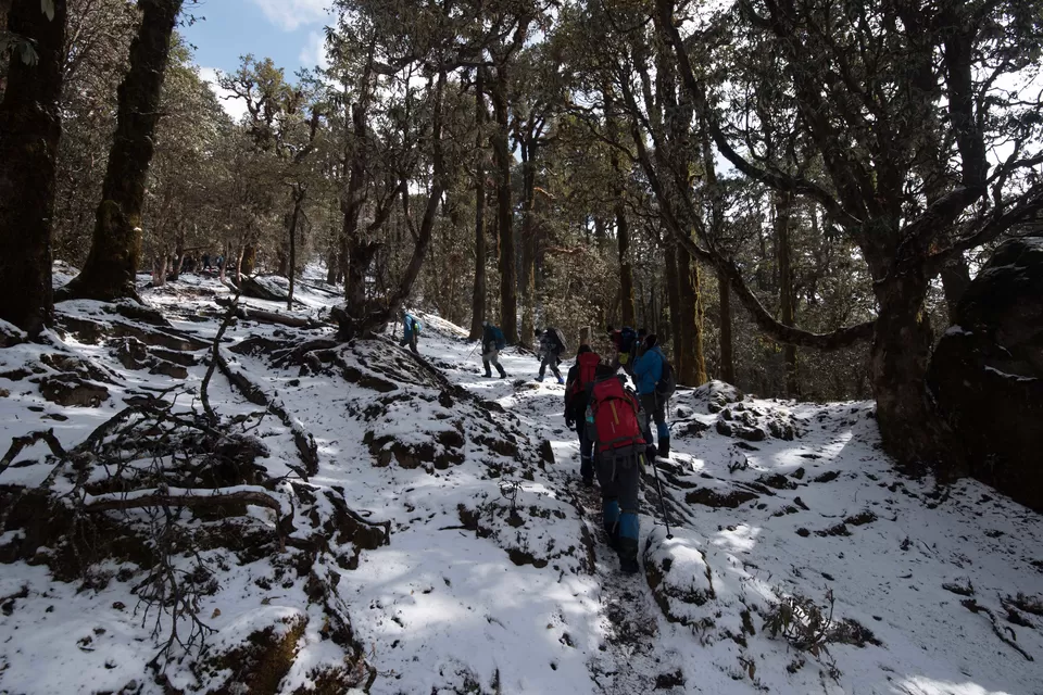 Photo of Bekaltal, Chamoli, Uttarakhand, India by My adventure planet