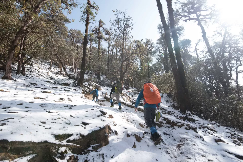 Photo of Bekaltal, Chamoli, Uttarakhand, India by My adventure planet