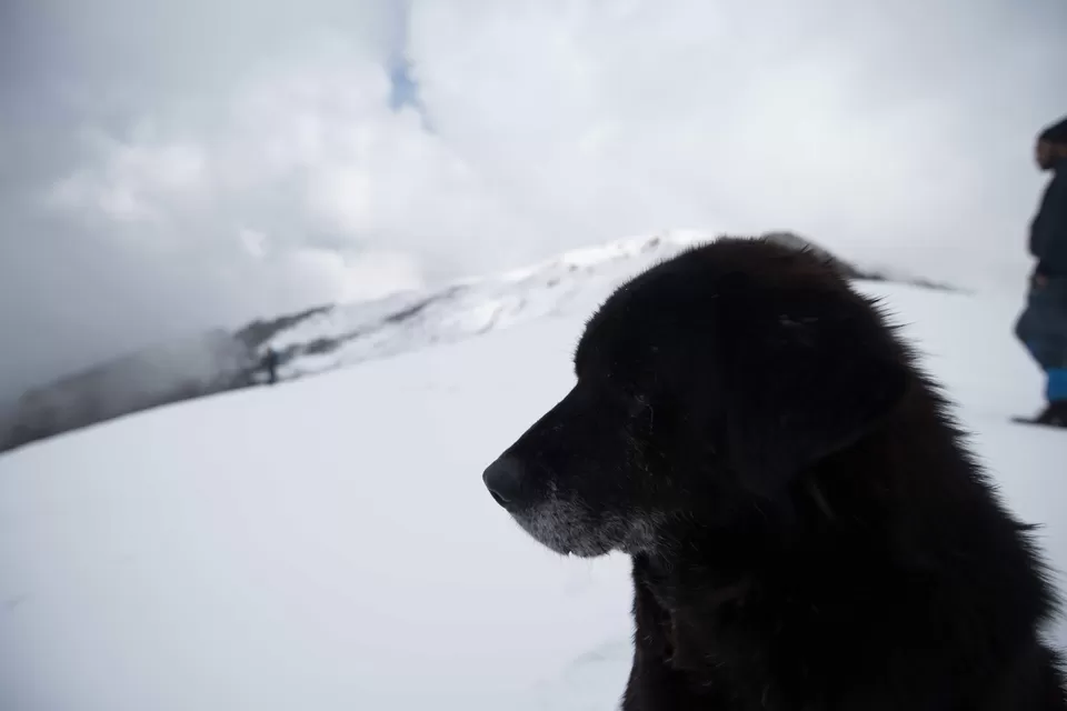 Photo of Nanda Devi, Chamoli, Uttarakhand, India by My adventure planet